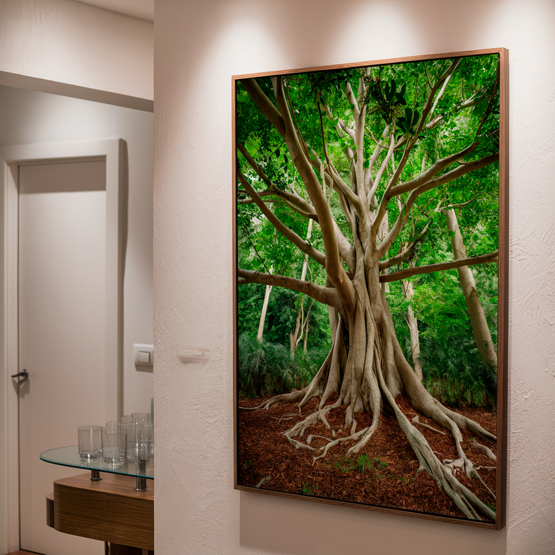 Quadro Decorativo Árvore da Vida - Abraço da Floresta