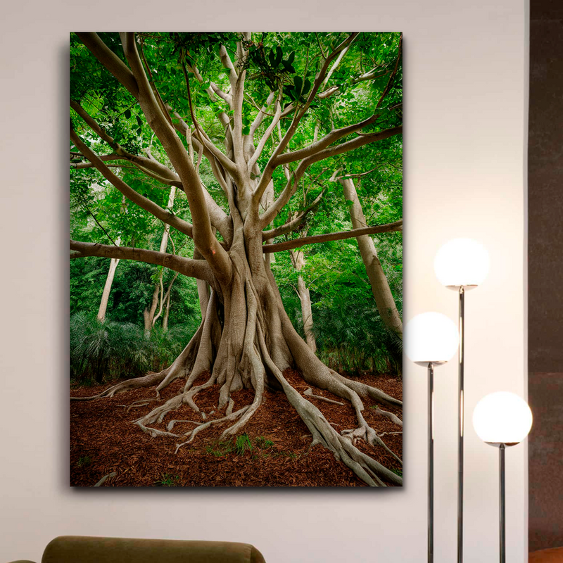 Quadro Decorativo Árvore da Vida - Abraço da Floresta