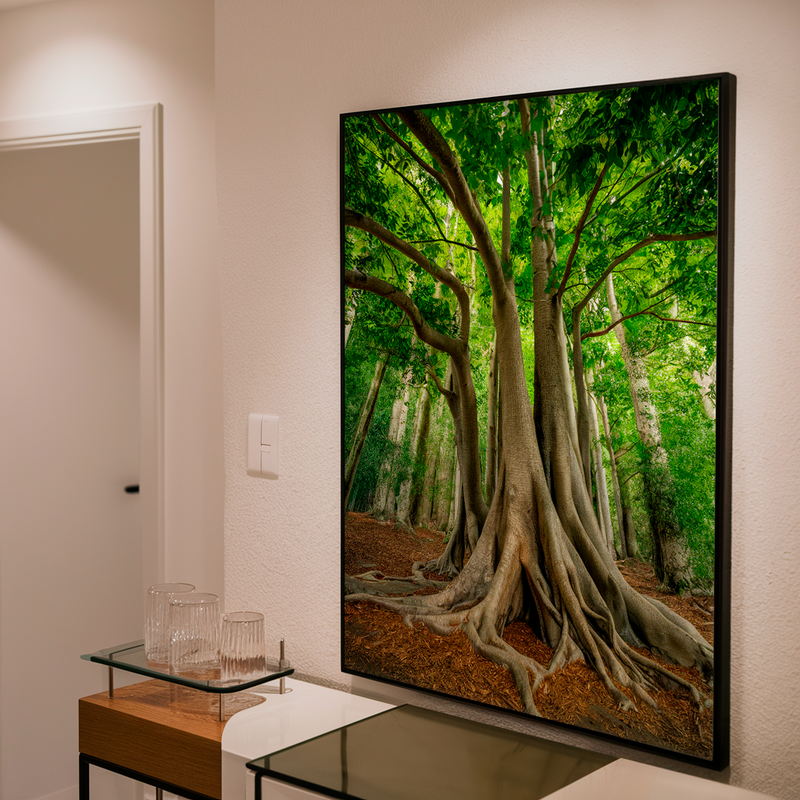 Quadro Decorativo Árvore da Vida - Força da Terra