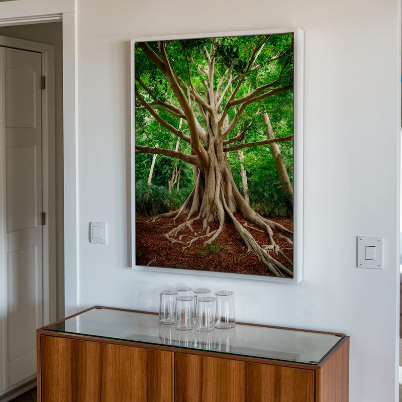 Quadro Decorativo Árvore da Vida - Abraço da Floresta