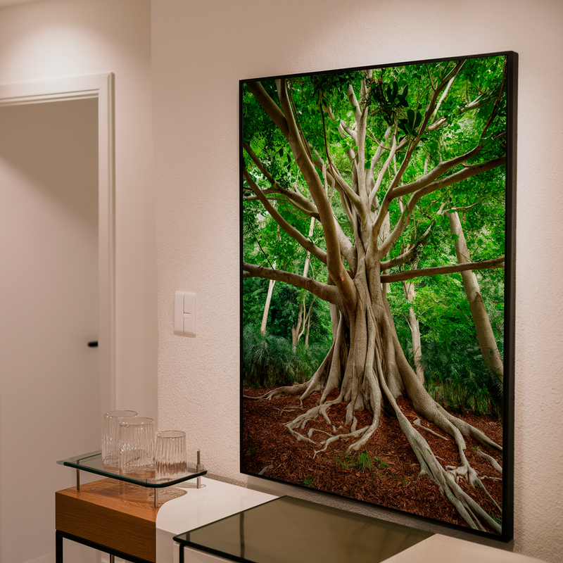 Quadro Decorativo Árvore da Vida - Abraço da Floresta