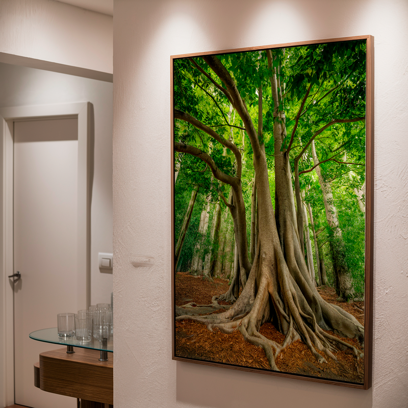 Quadro Decorativo Árvore da Vida - Força da Terra